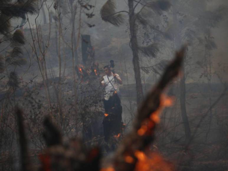 Bruma y árboles quemados se apoderan de La Tigra: así es el ambiente desde adentro