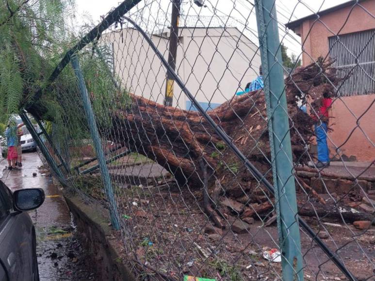 Caos en Tegucigalpa: fuertes lluvias causan daños en calles, carros y motocicletas