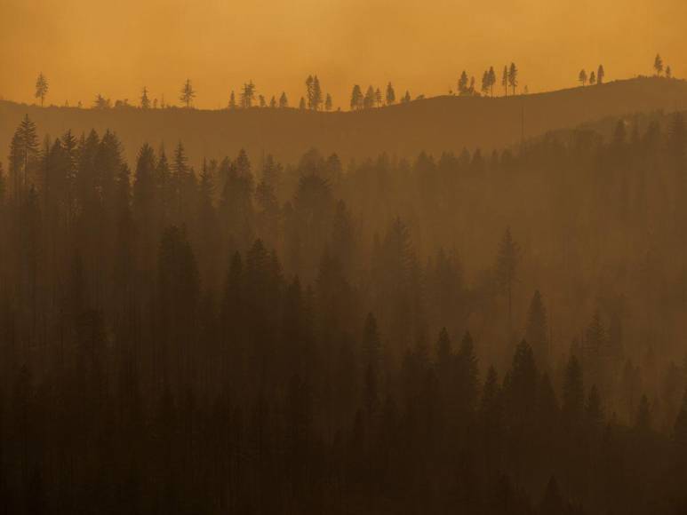 Incendio en California deja evacuados, casas convertidas en ceniza y bosques quemados