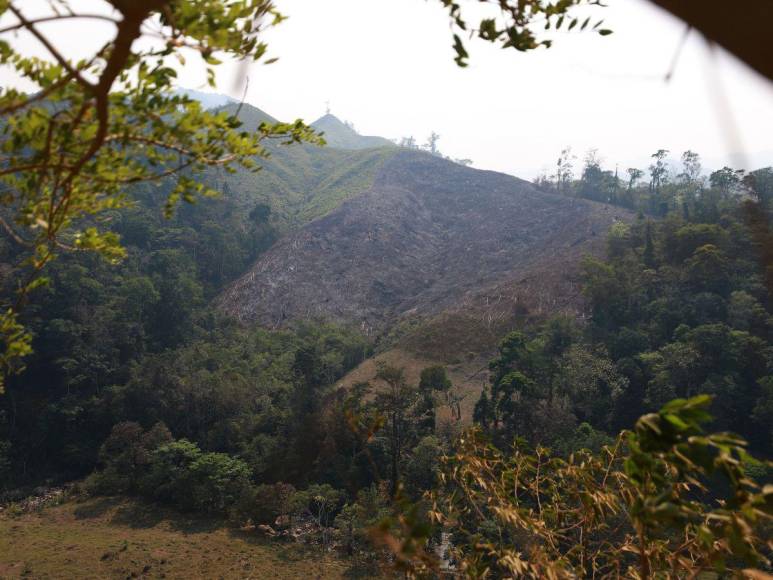 Destruida y deforestada: así se encuentra la zona núcleo de la Biósfera del Río Plátano