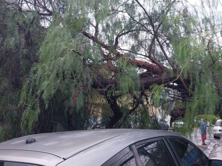 Caos en Tegucigalpa: fuertes lluvias causan daños en calles, carros y motocicletas