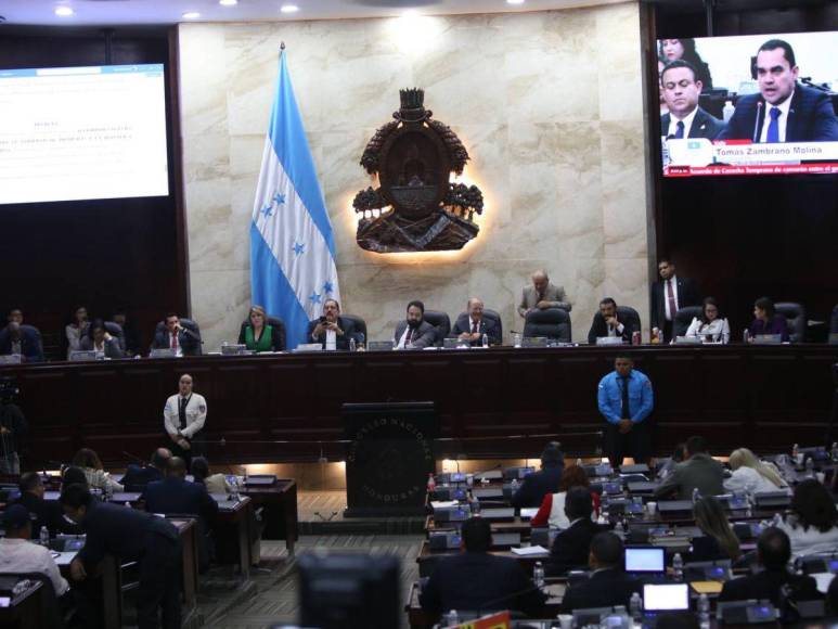 Diputados vuelven a sesionar en el Congreso Nacional entre dimes y diretes