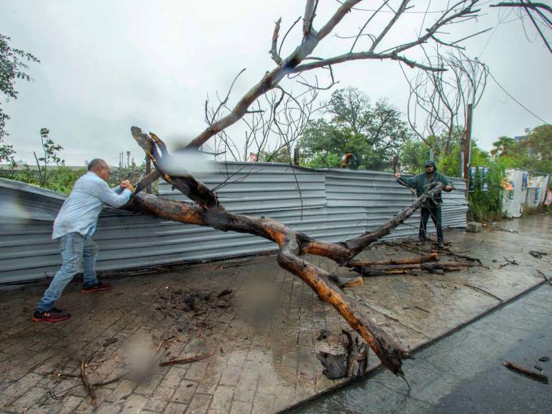 Muertos, calles inundadas y árboles caídos provoca tormenta Alberto en México