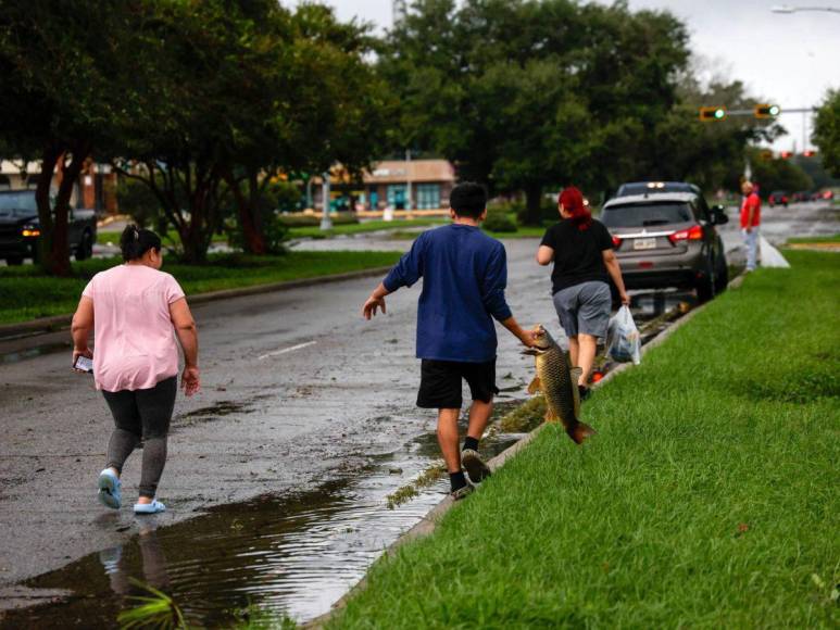 Fuertes inundaciones dejó Francine tras su paso por Luisiana, Estados Unidos