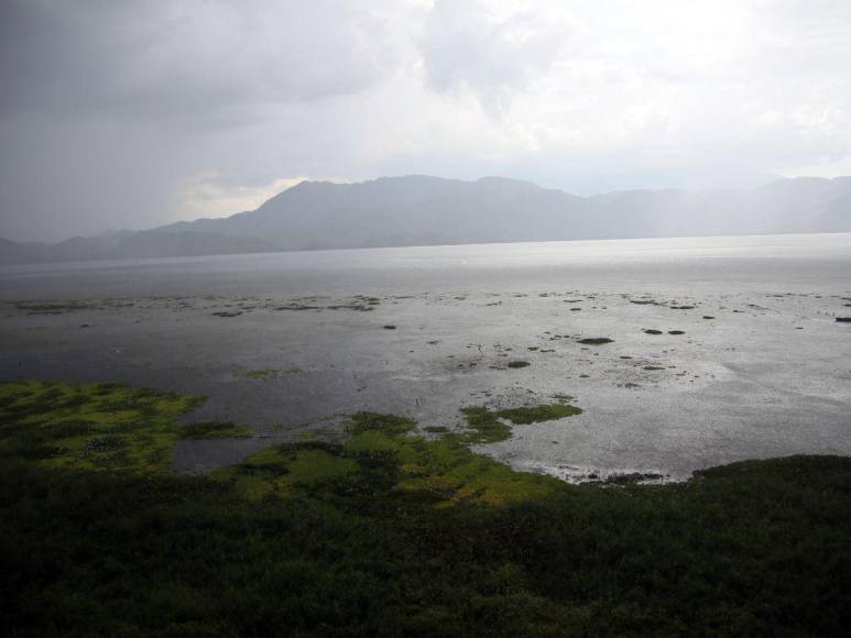 Las imágenes que muestran la deforestación e invasiones que amenazan al Lago de Yojoa