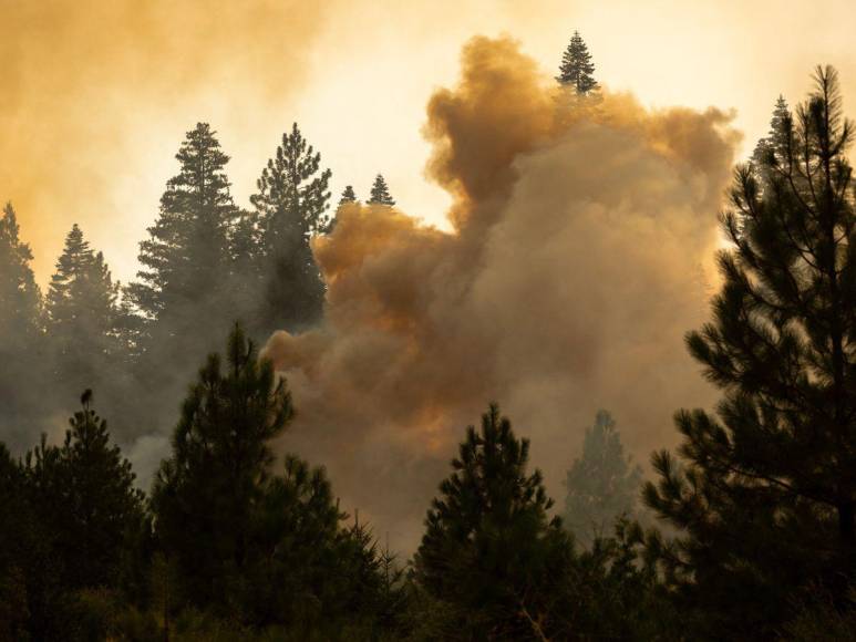 Imágenes del incendio catastrófico que arrasa el norte de California, EUA