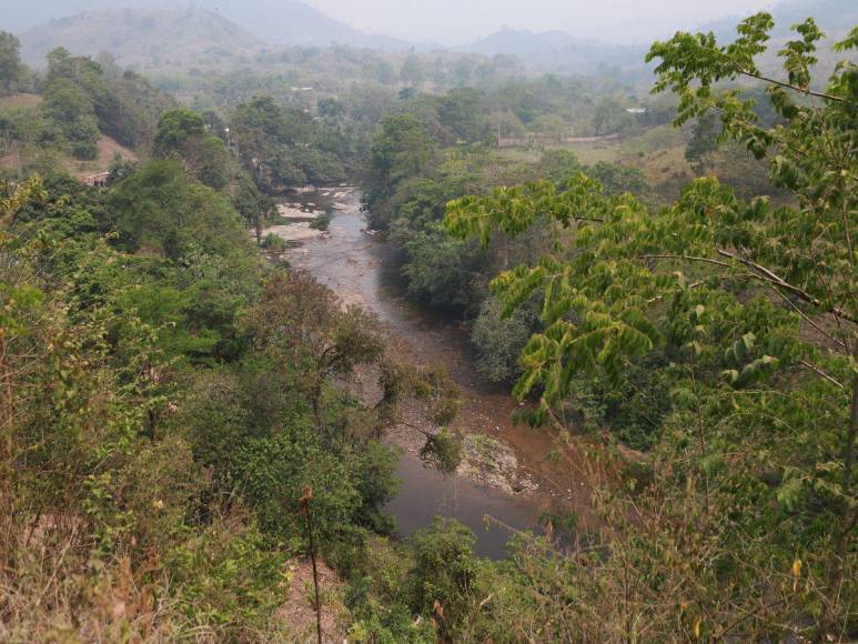 Destruida y deforestada: así se encuentra la zona núcleo de la Biósfera del Río Plátano