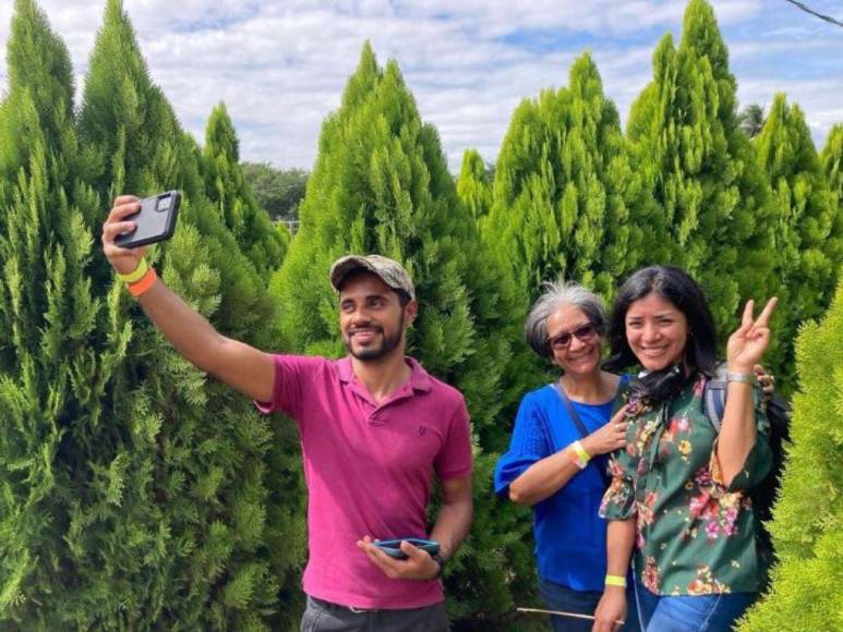 Laberinto de Cipreses, el nuevo atractivo turístico que es sensación en Comayagua