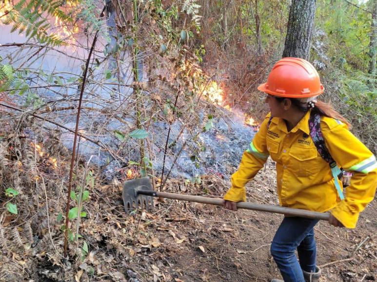 Las impactantes imágenes del incendio forestal que arrasó con todo a su paso en cerro El Trigo