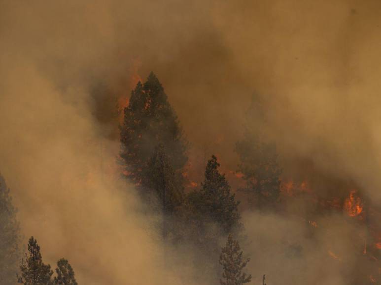 Incendio en California deja evacuados, casas convertidas en ceniza y bosques quemados