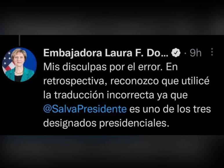 Los encontronazos entre el canciller Reina y la embajadora Laura Dogu