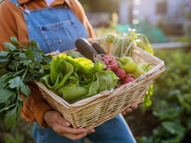 Las verduras de colores reducen el riesgo de padecer demencia y Alzheimer