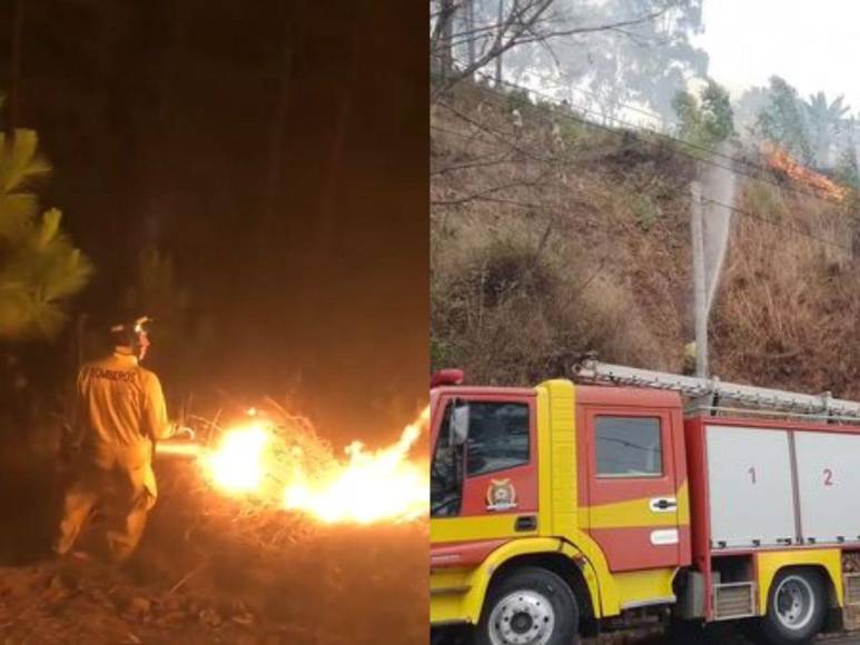 Uso de helicópteros y personal en tierra: así luchan los bomberos para controlar incendio en La Tigra