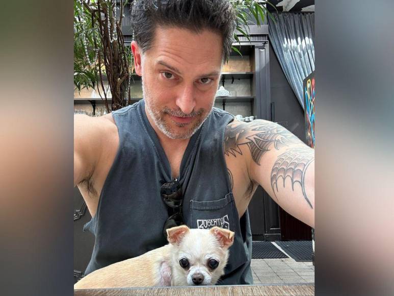 Bubbles, la perrita de Sofía Vergara y Joe Manganiello que complica su divorcio