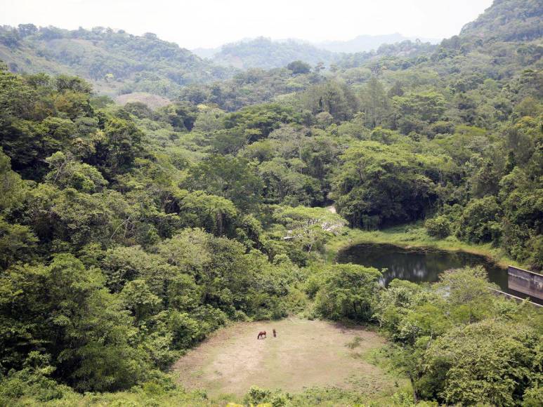 Las imágenes que muestran la deforestación e invasiones que amenazan al Lago de Yojoa