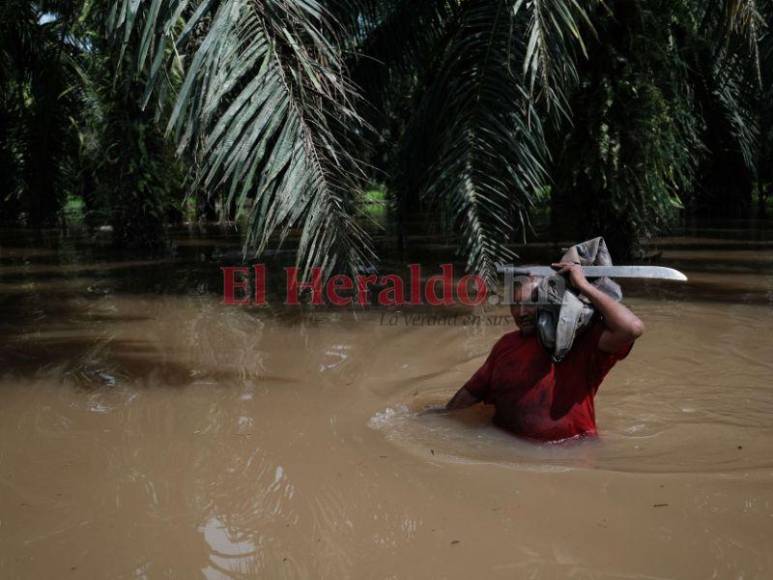 Inundada, destruida y con hambre: Choloma queda sumergida bajo agua, entre lodo y escombros