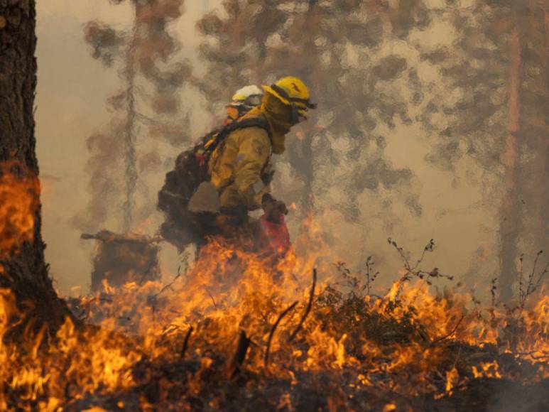 Incendio en California deja evacuados, casas convertidas en ceniza y bosques quemados