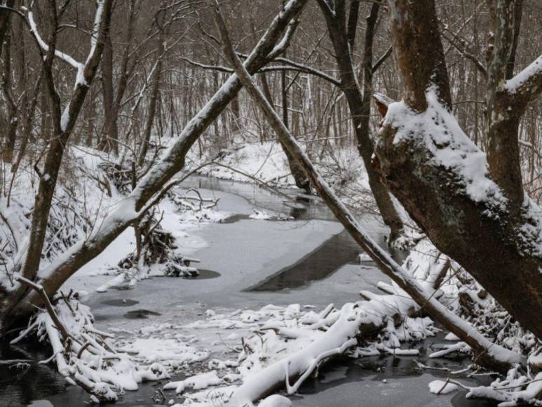 Muertos, apagones y vuelos cancelados: estragos de la tormenta de nieve en EE UU