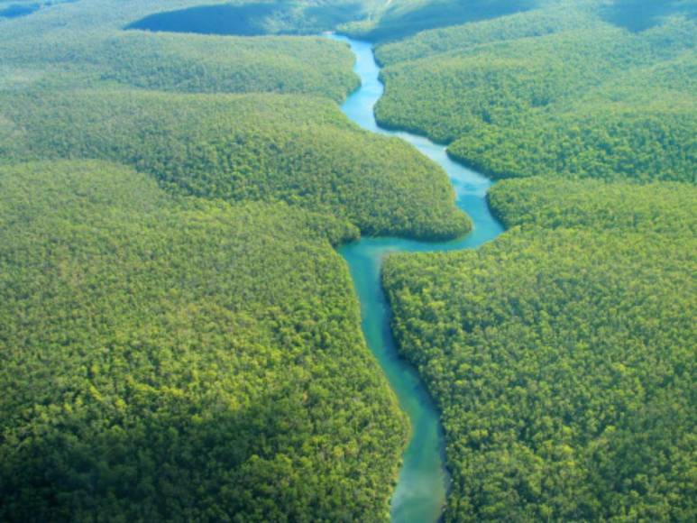 Comió gusanos y bebió su propia orina, así sobrevivió un boliviano durante un mes en la selva amazónica