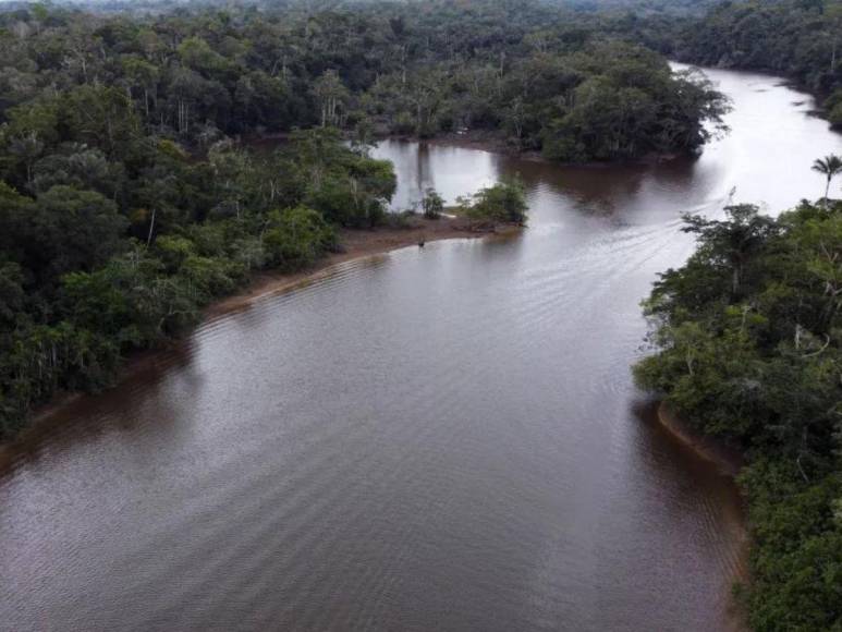 Comió gusanos y bebió su propia orina, así sobrevivió un boliviano durante un mes en la selva amazónica