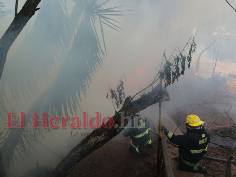 Las impactantes imágenes que dejó incendio de vivienda en Tegucigalpa