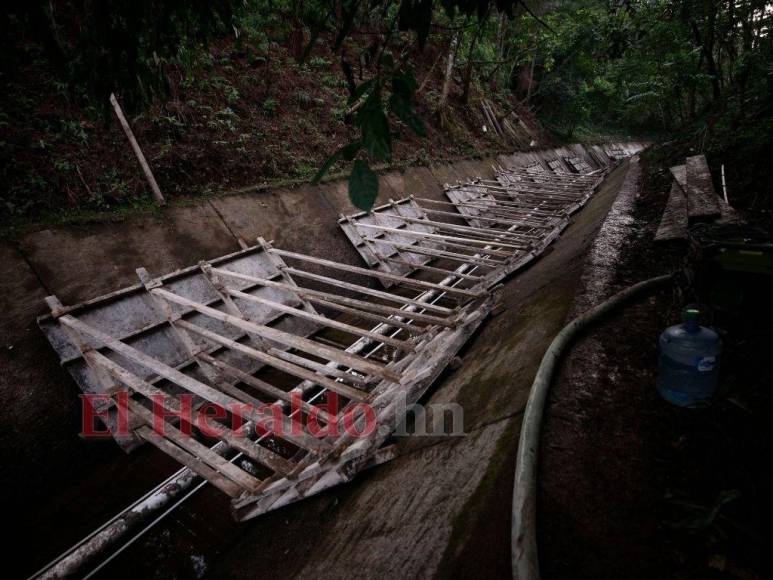 Heces, metales pesados y agroquímicos matan lentamente el Lago de Yojoa (FOTOS)