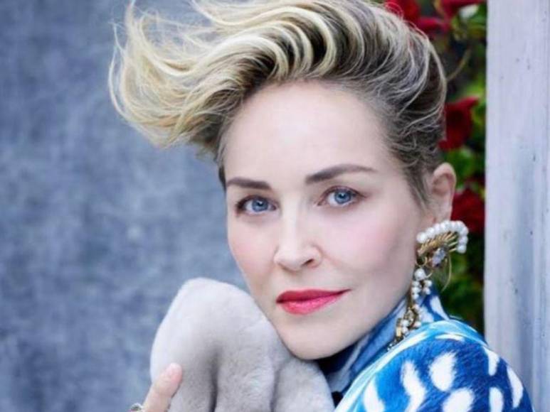 Sharon Stone, la actriz que sufrió nueve abortos antes de adoptar a sus tres hijos