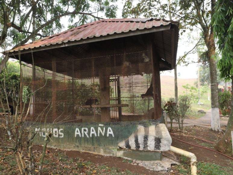 Las condiciones en las que viven animales en zoológico Joya Grande