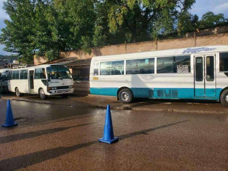 Pago electrónico, transbordo y turnos: el ambicioso proyecto que busca modernizar buses en la capital