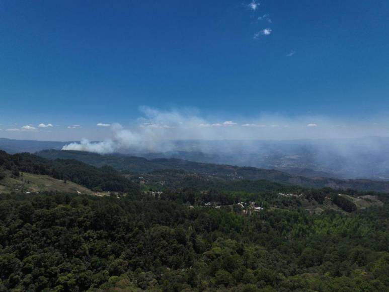 En imágenes: así luce la capital luego del pavoroso incendio forestal que estremeció el cerro El Trigo