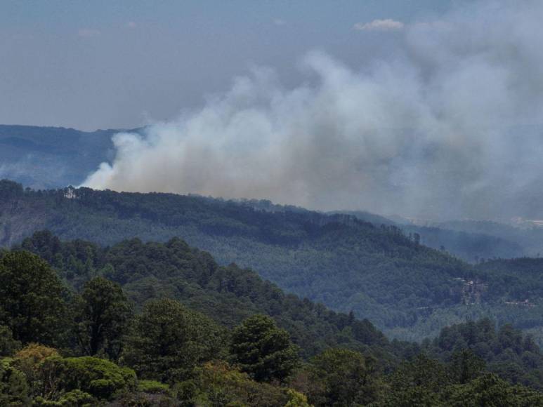 En imágenes: así luce la capital luego del pavoroso incendio forestal que estremeció el cerro El Trigo