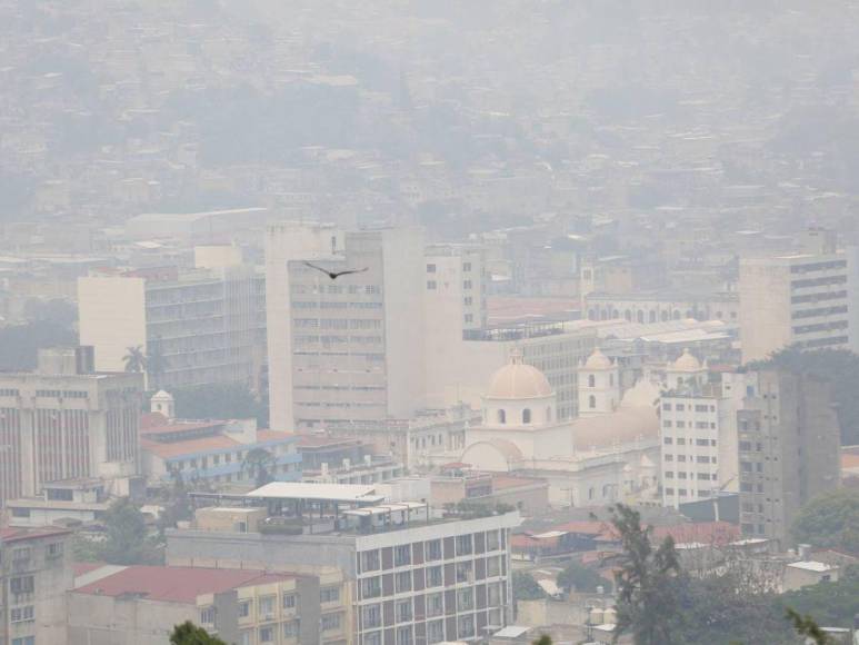 Capa de humo causa aumento de pacientes con problemas respiratorios en la capital