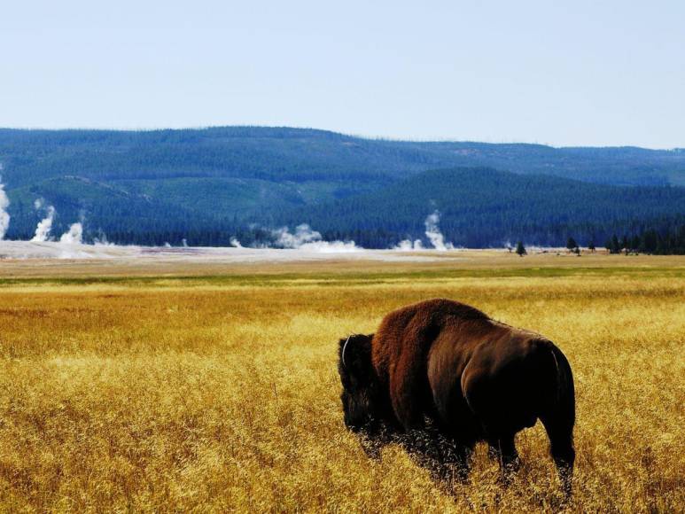 Supervolcán de Yellowstone y Fosa de las Marianas: tenebrosos lugares de la predicción del 18 de julio de 2023