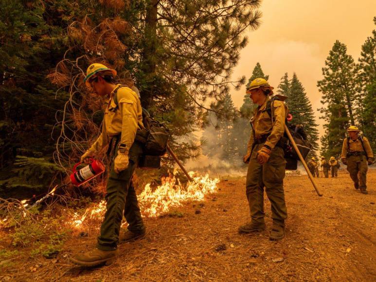 Imágenes del incendio catastrófico que arrasa el norte de California, EUA