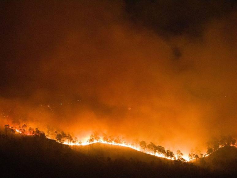 Las impactantes imágenes del incendio forestal que arrasó con todo a su paso en cerro El Trigo