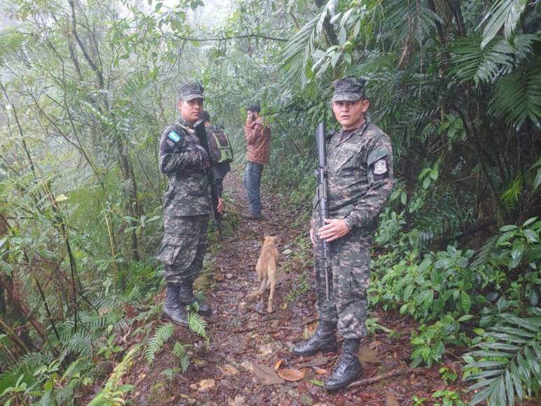 ¿Cómo encontraron al senderista desaparecido en La Tigra?