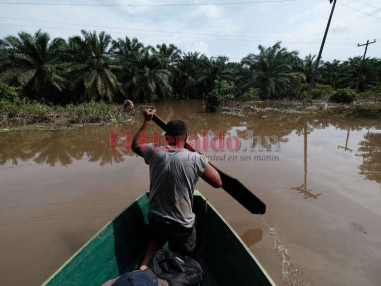 Inundada, destruida y con hambre: Choloma queda sumergida bajo agua, entre lodo y escombros