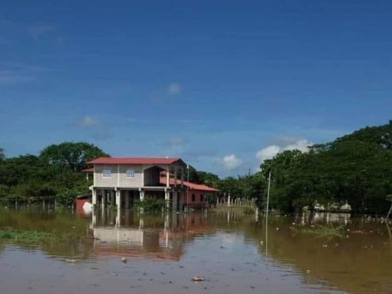 Fuertes lluvias desencadenan inundaciones en El Cubulero, Alianza, Valle