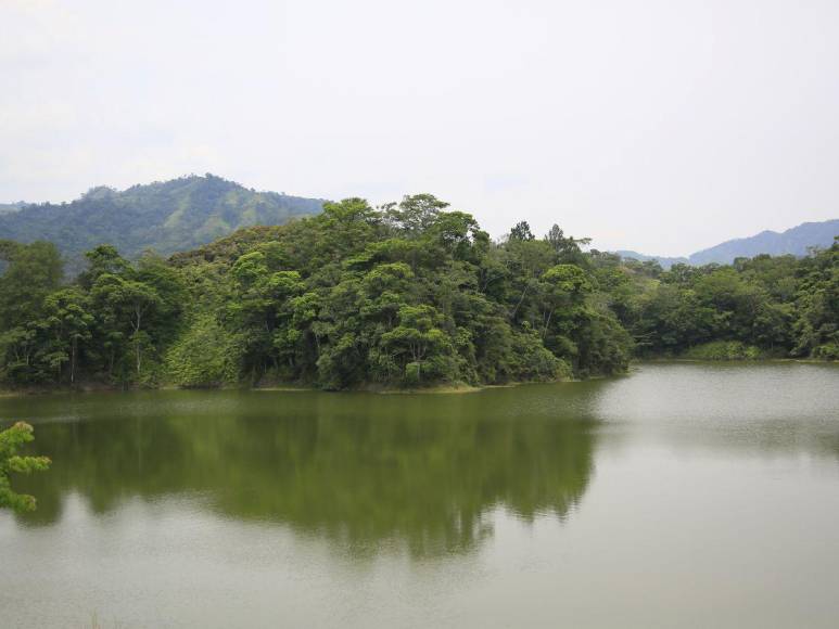 Las imágenes que muestran la deforestación e invasiones que amenazan al Lago de Yojoa