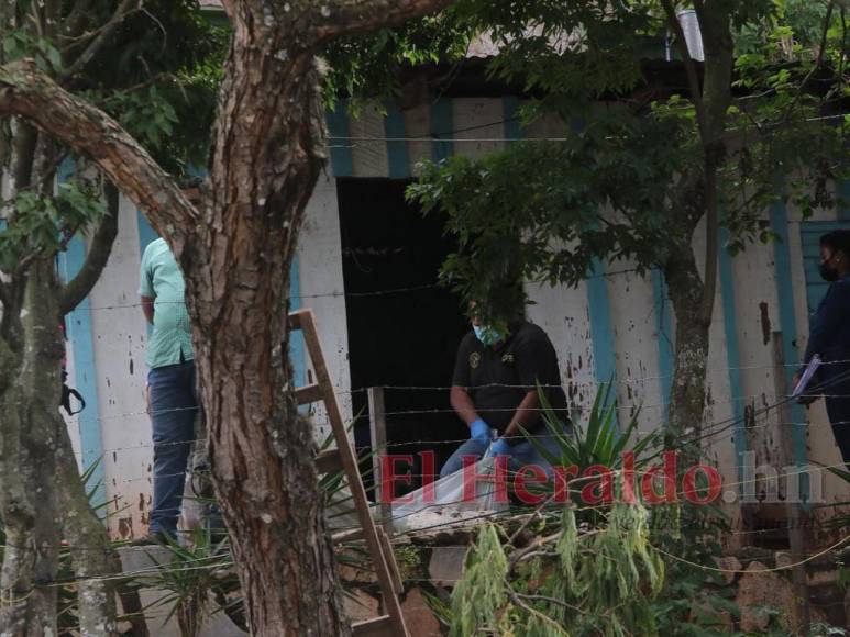 Violencia invade colonia Los Pinos: Tres muertos en dos hechos distintos este lunes