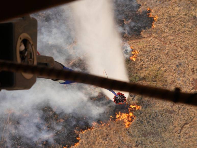 Al menos 55 muertos, familias sin hogar y llamas interminables: las imágenes del pavoroso incendio en Hawái