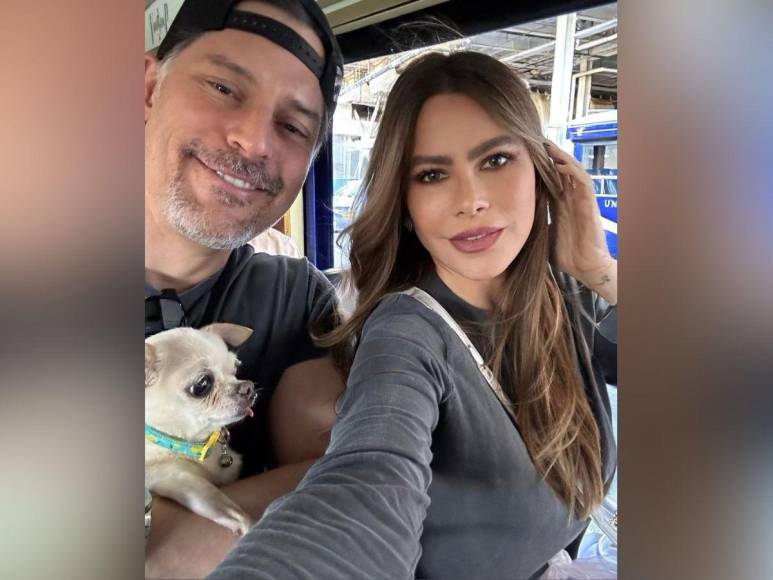 Bubbles, la perrita de Sofía Vergara y Joe Manganiello que complica su divorcio