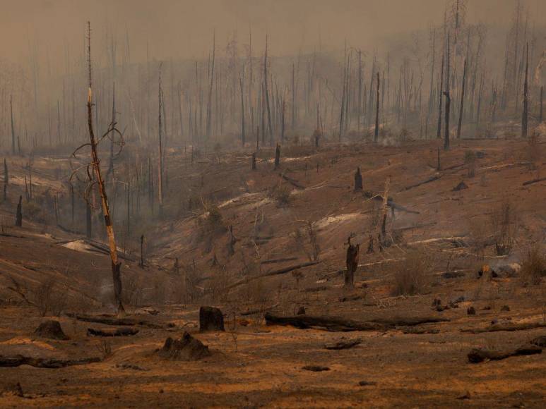 Incendio en California deja evacuados, casas convertidas en ceniza y bosques quemados