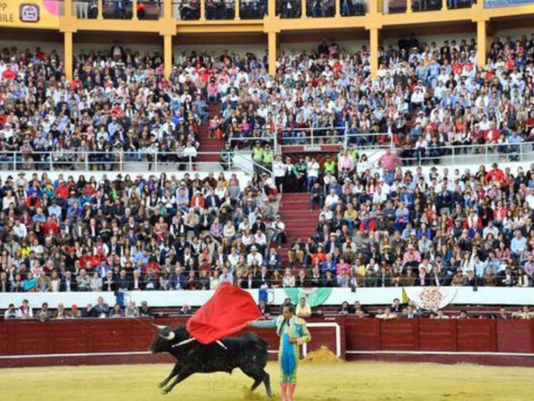 Pánico, muertos y heridos: Así fue el desplome de gradería en corrida de toros en Colombia