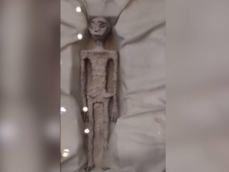 Con huevos en su abdomen y tres largos dedos: así son los “extraterrestres” presentados en Congreso de México