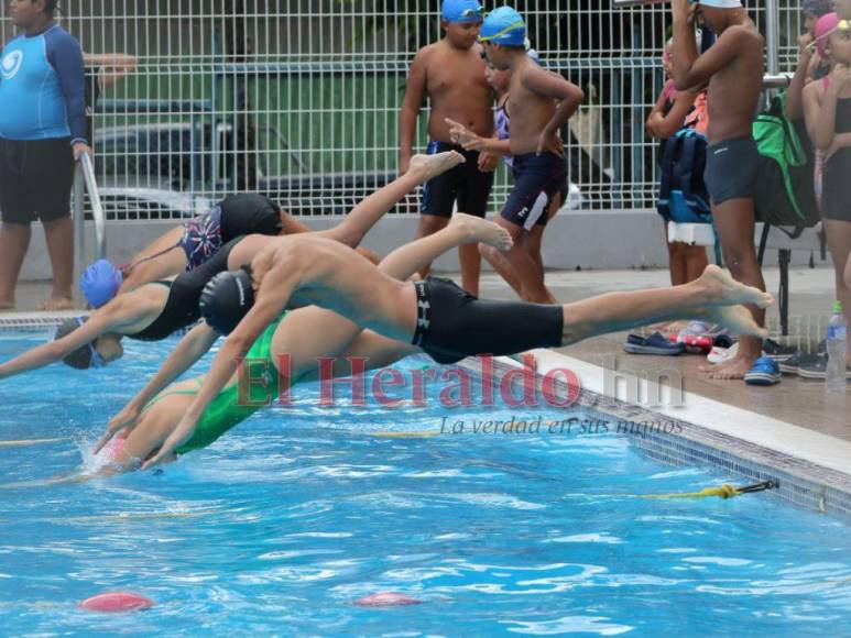 Fechas, ardua preparación y destacada organización: Así se desarrollará la Copa Tiburones 2022