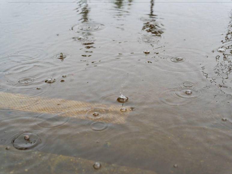 Imágenes del paso de la tormenta tropical Debby en el sureste de EUA