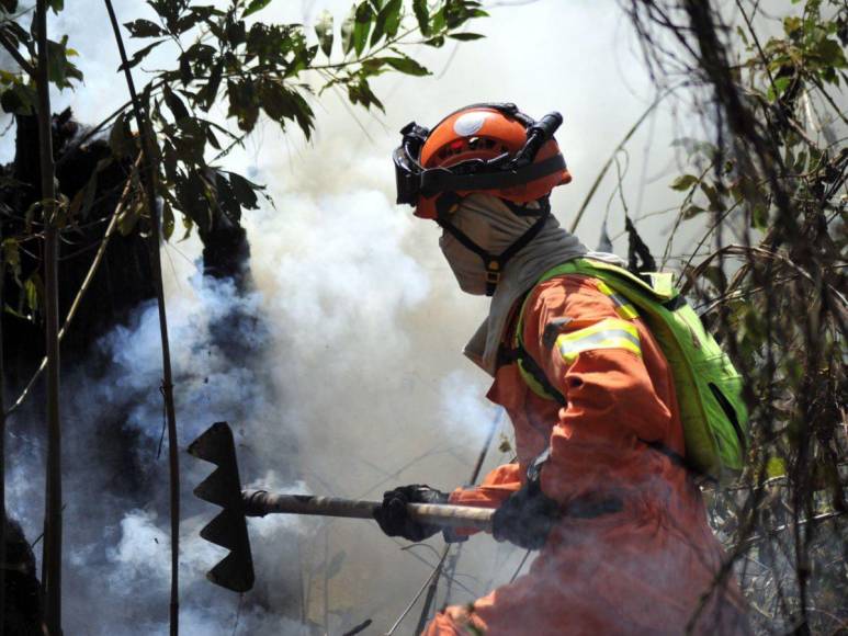 Desolación y aire contaminado en la capital dejan incendios forestales en La Tigra