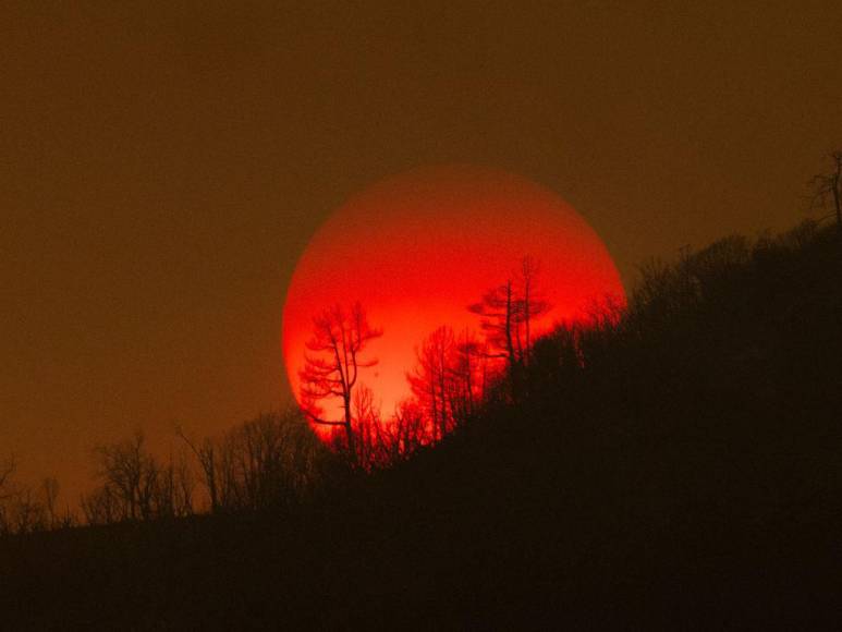 Incendio en California deja evacuados, casas convertidas en ceniza y bosques quemados