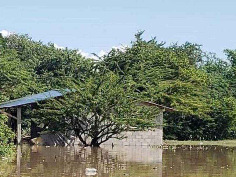 Fuertes lluvias desencadenan inundaciones en El Cubulero, Alianza, Valle